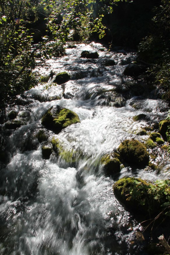 Perfectly clear, sparkling mountain streams that came singing and dancing down, down, down.