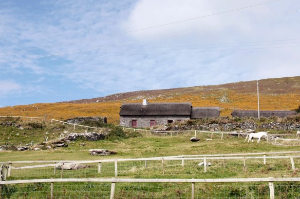 Quaint cottages dotted the hills to our right along with overgrown stone walls between the fields of sheep and cattle.